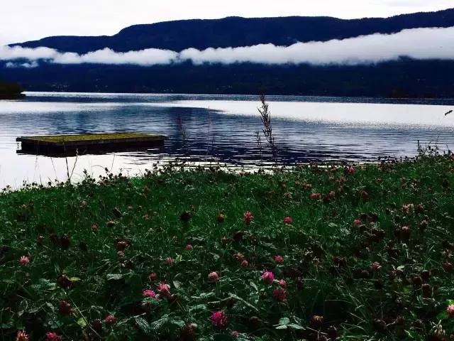 33.webp.jpg Ag集团