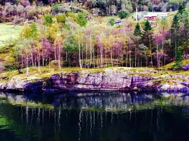 34.webp.jpg Ag集团