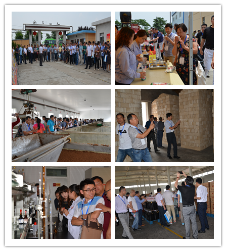 image005.png Ag集团