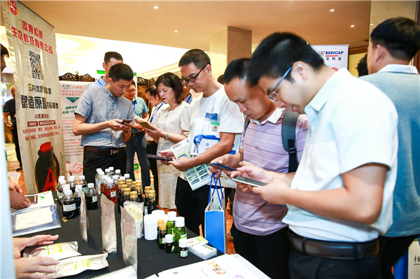 BM4A9835_wps图片.jpg Ag集团